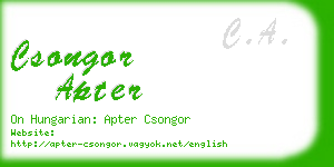 csongor apter business card